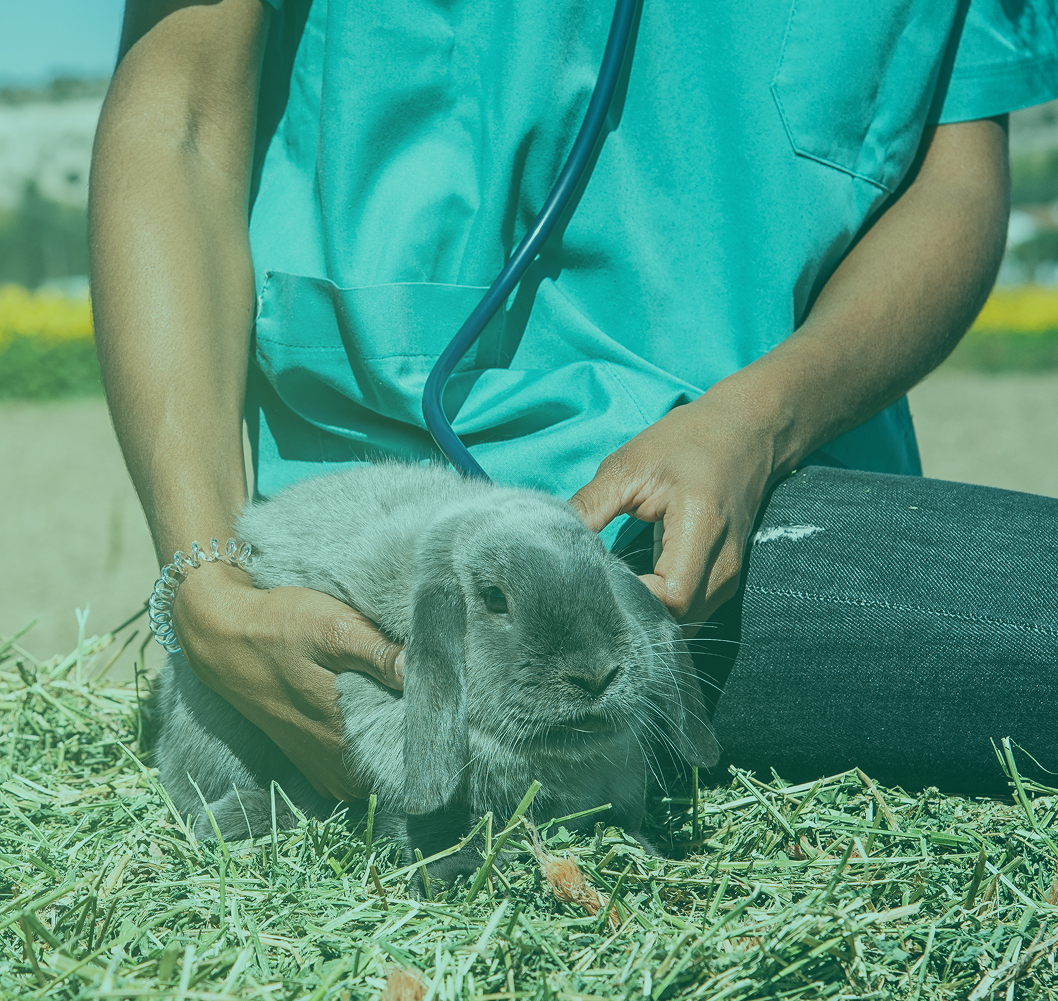 Empovet - Santé animale